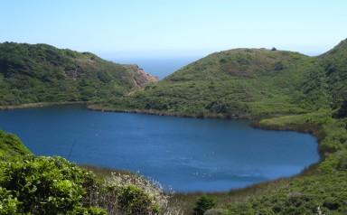 Point Reyes　－　3日目　その2　最終目的地のAlamere Fallsへ_a0124555_14214378.jpg