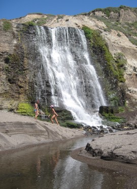 Point Reyes　－　3日目　その2　最終目的地のAlamere Fallsへ_a0124555_14242260.jpg