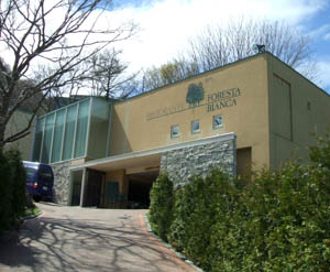 c0097856_0252859.jpg