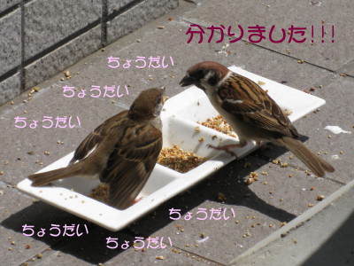 ご飯が一人で食べられるのに親御さんに甘える水曜日_b0158061_20313022.jpg