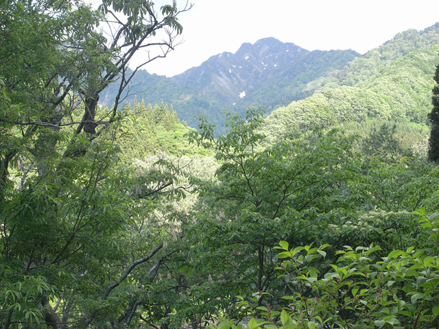 d0128163_1091913.jpg