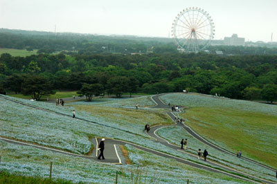 5月23日～24日　茨城集会_c0050264_1153303.jpg