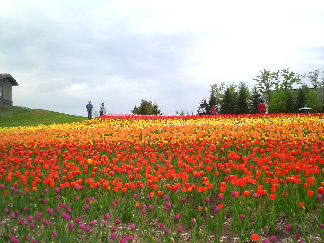c0160878_21492871.jpg