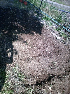 e0055980_21263826.jpg