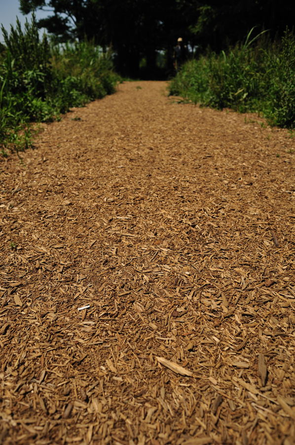 a0144081_2222980.jpg