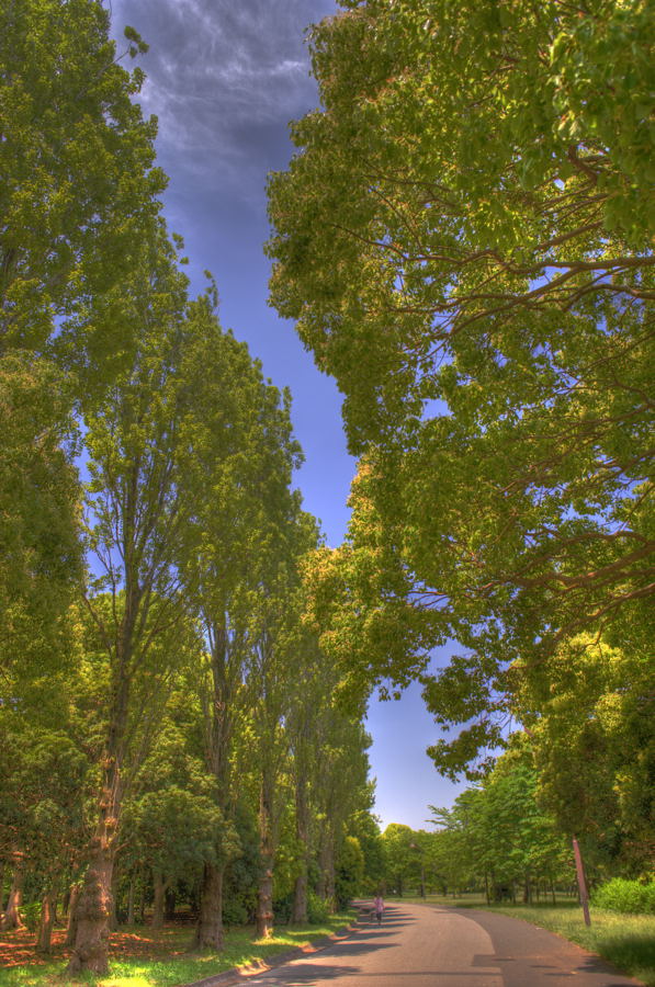 a0144081_2242531.jpg