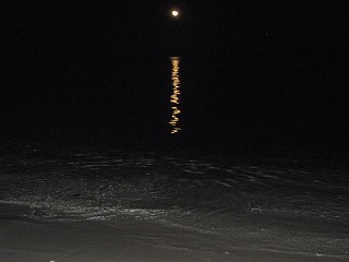 f0204584_4172719.jpg