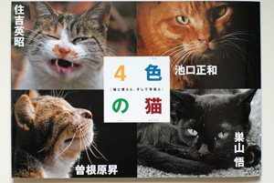 写真展＆写真集『4色の猫』_d0167088_1054513.jpg
