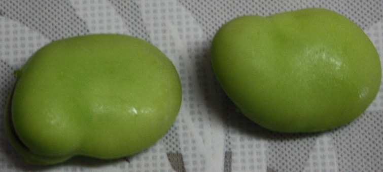 b0107691_20211489.jpg