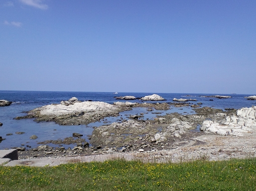 c0094293_23281679.jpg