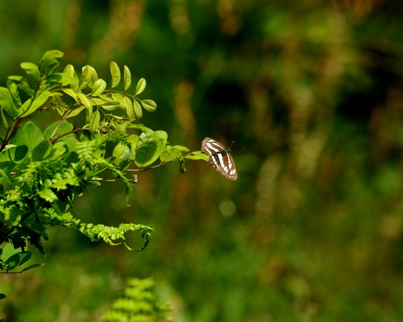 e0103903_18381016.jpg