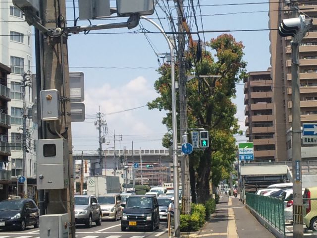 f0197703_11445075.jpg