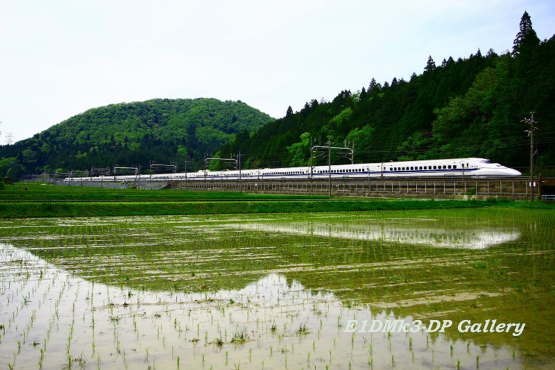 梅雨入り前_b0128806_2250742.jpg