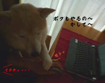 e0131506_21314215.jpg
