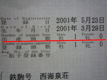 e0131506_2131741.jpg