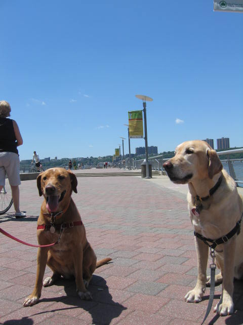 f0036409_10362553.jpg