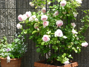 c0207810_22325924.jpg