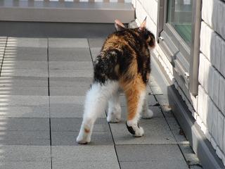 c0201113_22492979.jpg