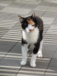 c0201113_22505988.jpg