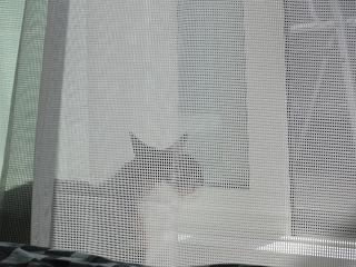 c0201113_22574925.jpg