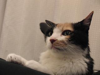 c0201113_22595562.jpg
