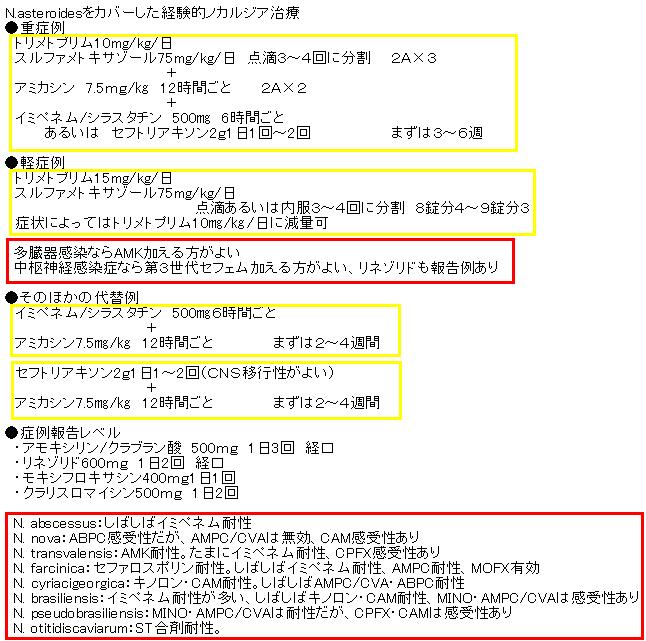 ノカルジア症(Nocardiosis)_e0156318_13294018.jpg