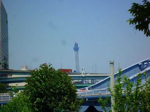 SKY TREE_b0150120_1718140.jpg