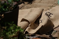 f0170524_87946.jpg