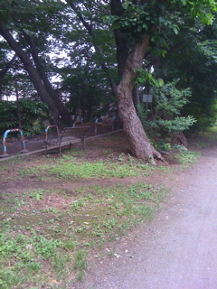 b0184333_205191.jpg