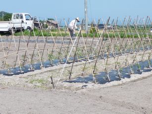 f0194533_10541793.jpg
