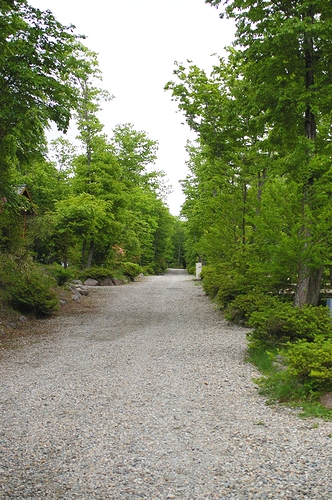 a0034438_14511566.jpg