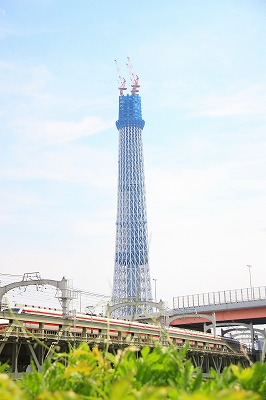c0229539_165157.jpg