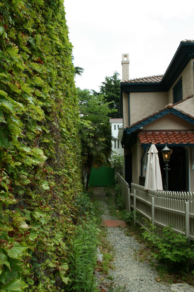 b0168840_648676.jpg