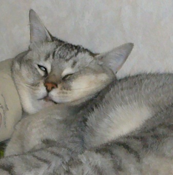 あ~ら また?_f0002743_13461875.jpg