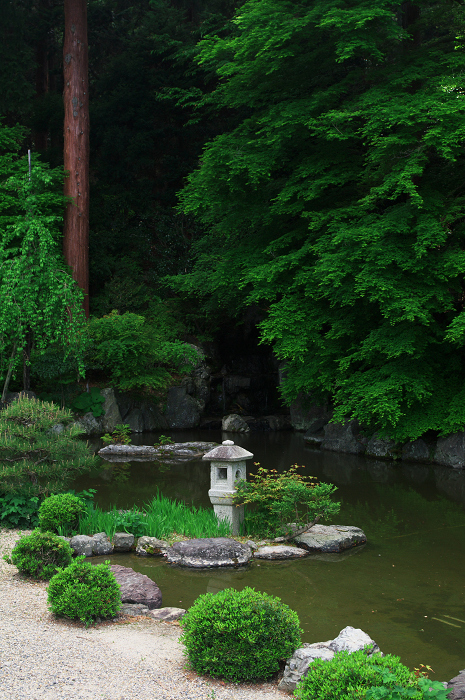 新緑と花の寺（善峯寺・後編）_f0155048_126019.jpg
