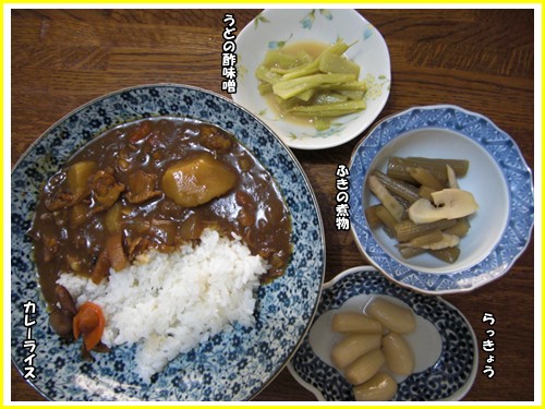 カレーライス／うどの酢味噌／ふきの煮物_b0186551_1481112.jpg