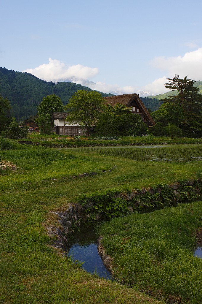 水鏡に映る合掌造り_c0114153_8105998.jpg