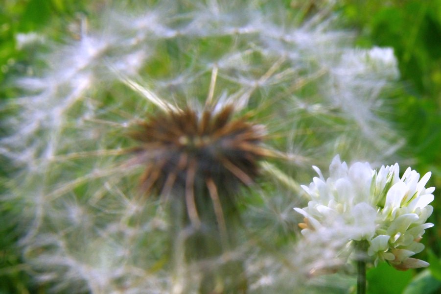 f0207754_8573790.jpg