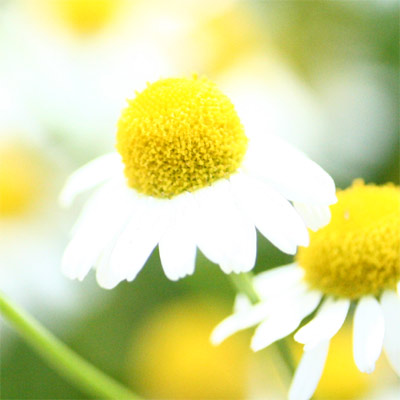 f0009256_13541844.jpg