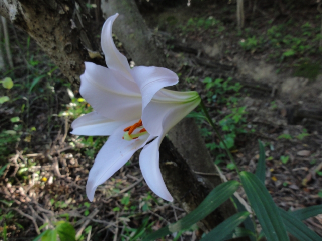 c0108460_0044100.jpg