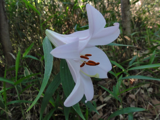 c0108460_02169.jpg