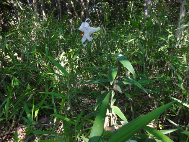 c0108460_035387.jpg