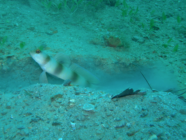 b0062363_19374630.jpg