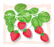 a0063364_044197.gif