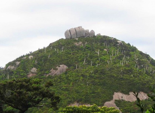 2010.5.29～6.2屋久島の山旅_c0219866_12531466.jpg