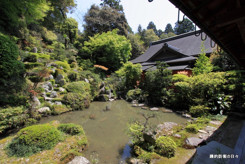 彦根・龍澤寺_b0131071_23213124.jpg