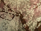 佐々木経二 日本画展_d0165772_21491417.jpg