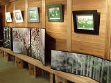 佐々木経二 日本画展_d0165772_21521298.jpg