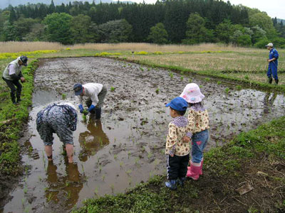 ベーグルと田植え。_b0168676_6322012.jpg