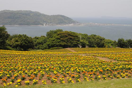 誕生会はBBQ&ウクレレ in 能古島♪_c0116778_832974.jpg
